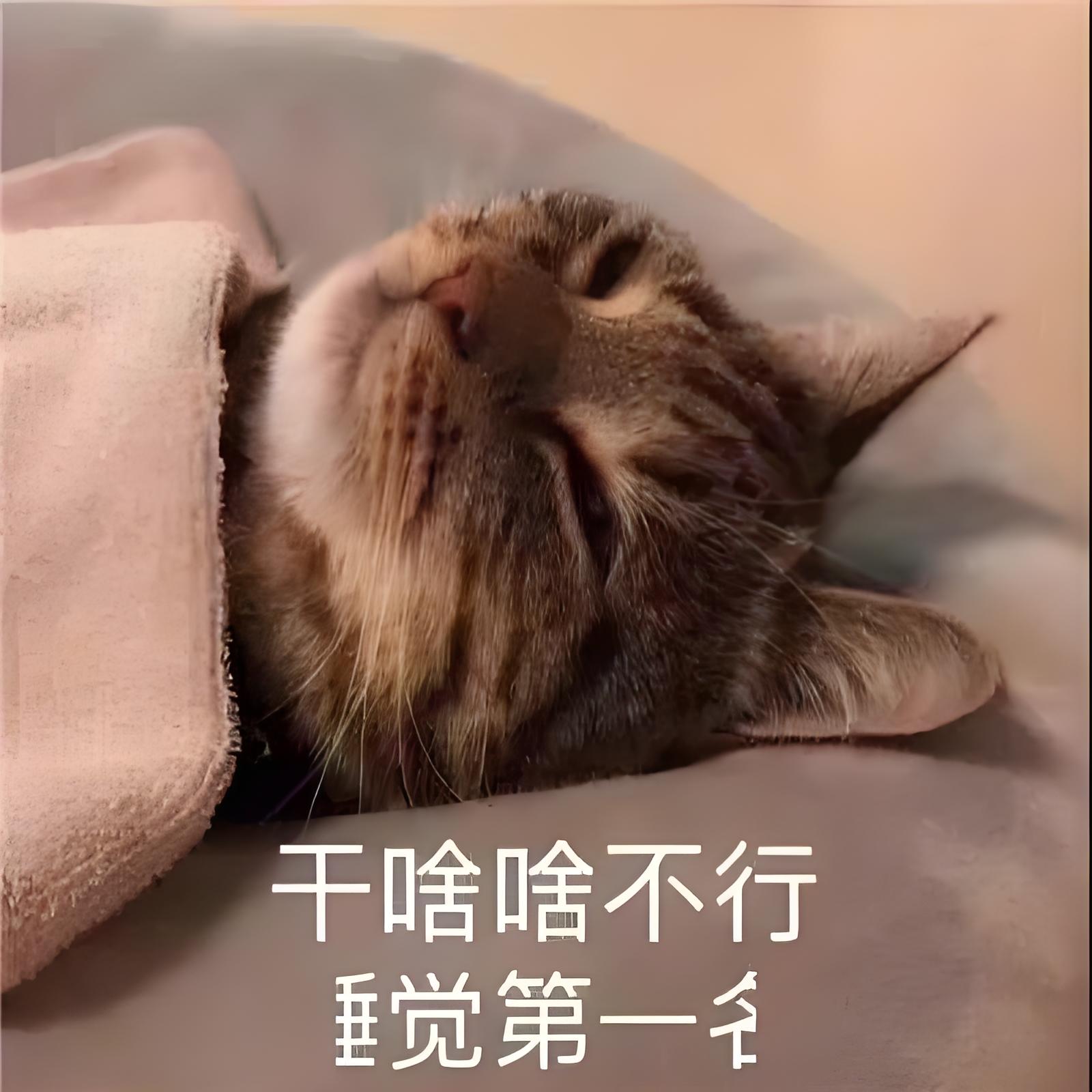 在 Electron 中使用 LiveKit 实现屏幕共享