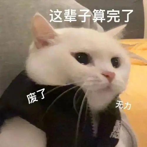 这辈子算完了